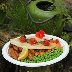 Plato ovalado caña de azúcar 26 x 20 cm 50 unidades