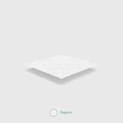 Plato ovalado caña de azúcar 26 x 20 cm 50 unidades