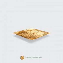 Platos redondos de hoja de Palma 26 cm 25 unidades