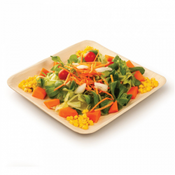 Platos de palma cuadrados 18x18 cm 200 uds.